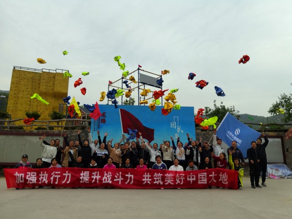 中国大地保险