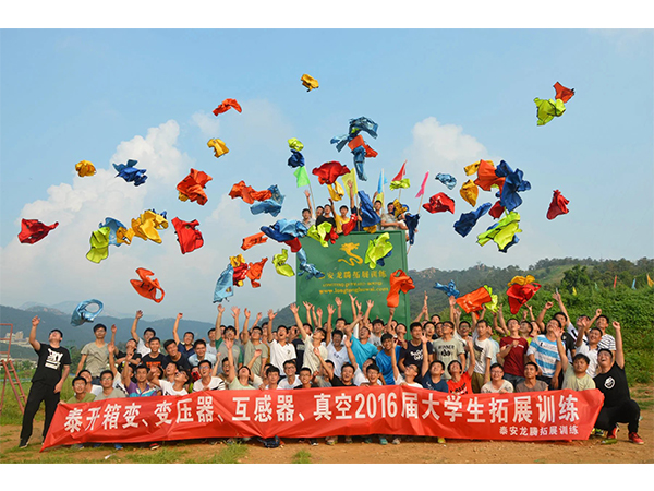 泰开集团2