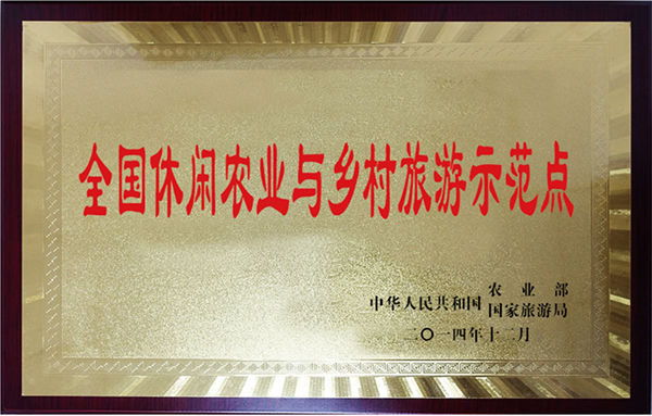 荣誉资质